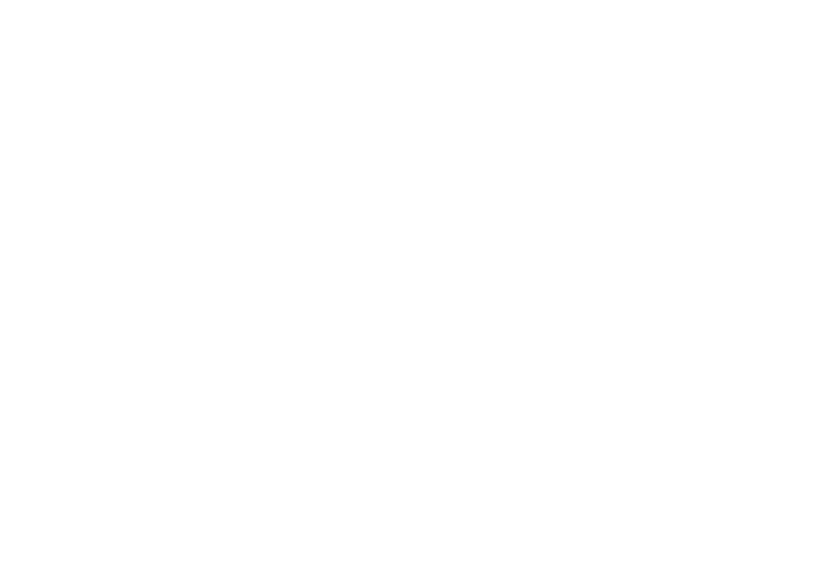 Visa logo